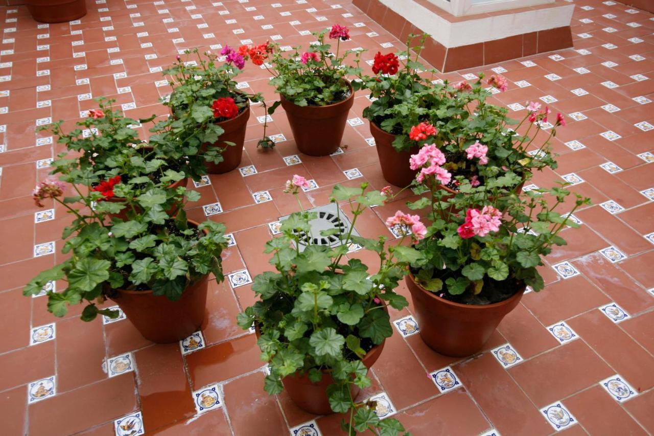 Apartamentos Las Cruces Seville Exterior photo
